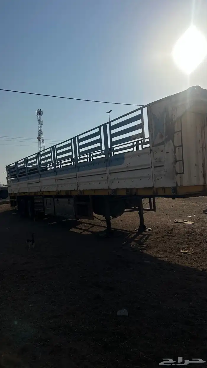 تيدر لعاب طول 13.60 2