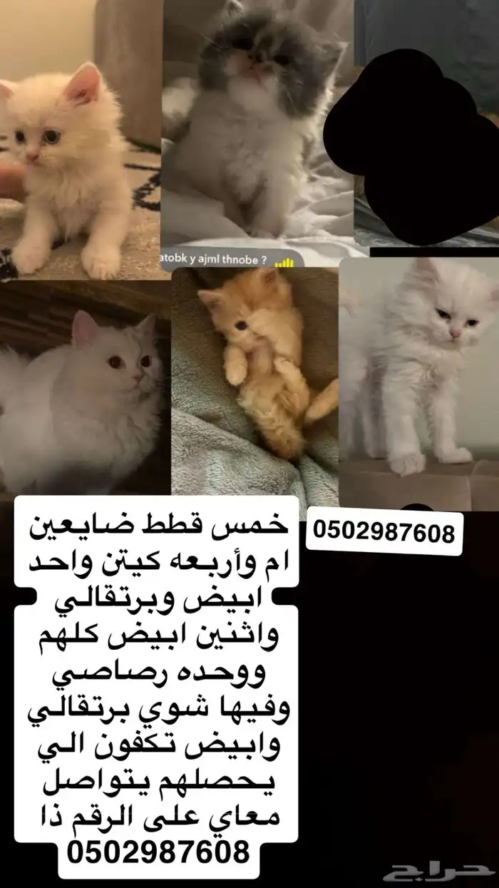 تكفون انشرو العرض بكل مكااان 0