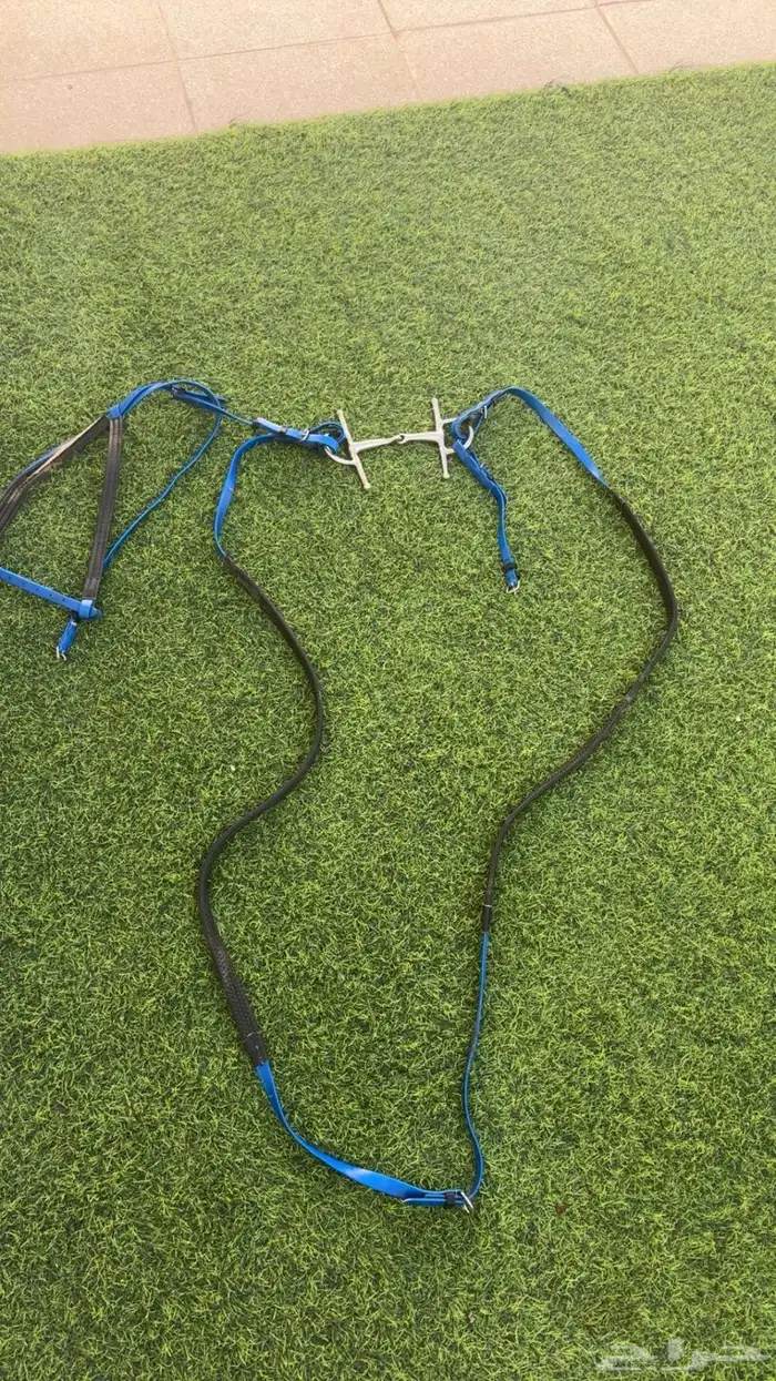 سرج ستيتوس 0