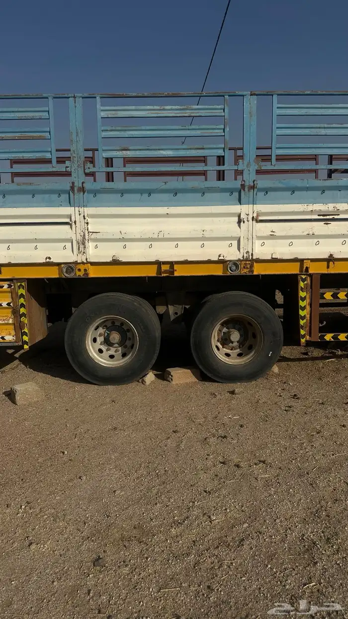 تيدر لعاب طول 13.60 3