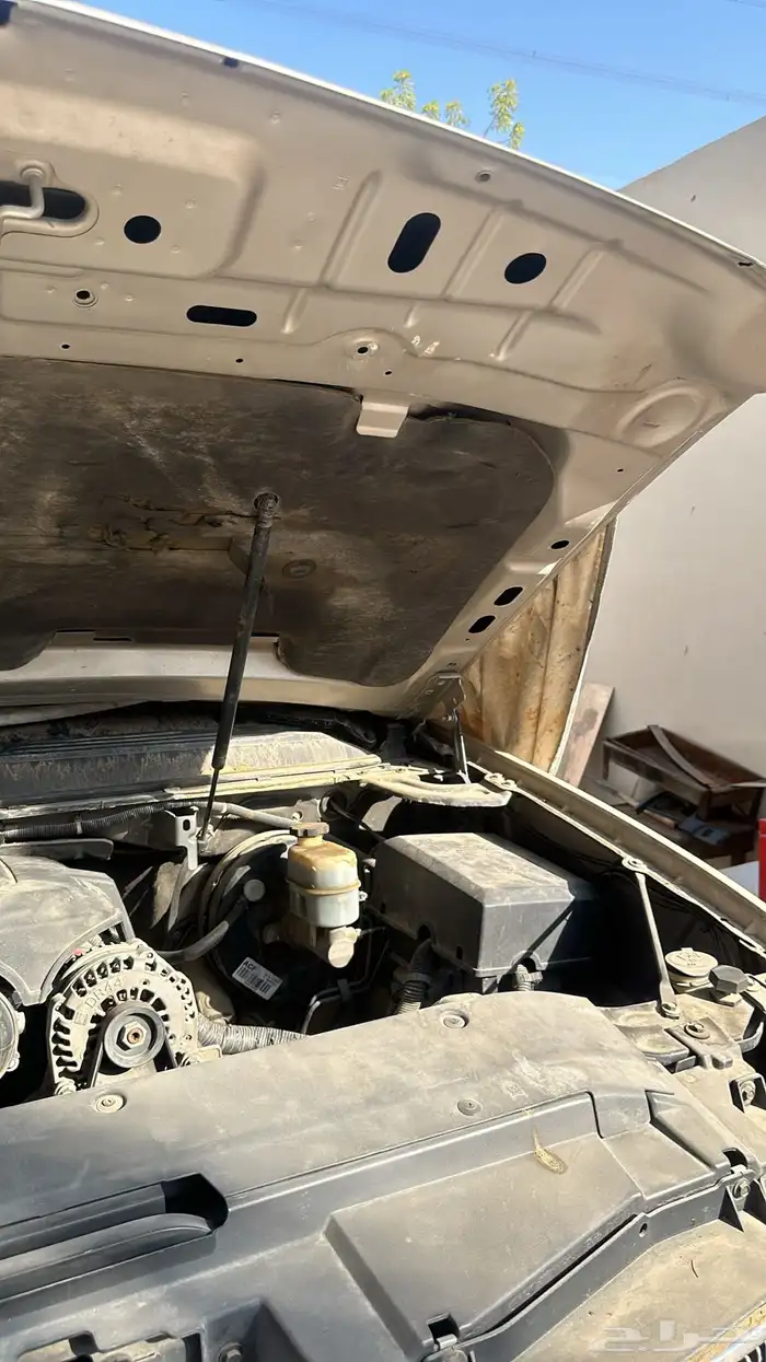 سوبربان شفرليه 7