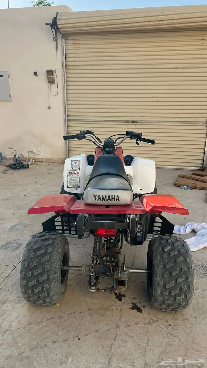 دباب بانشي للبيع 0