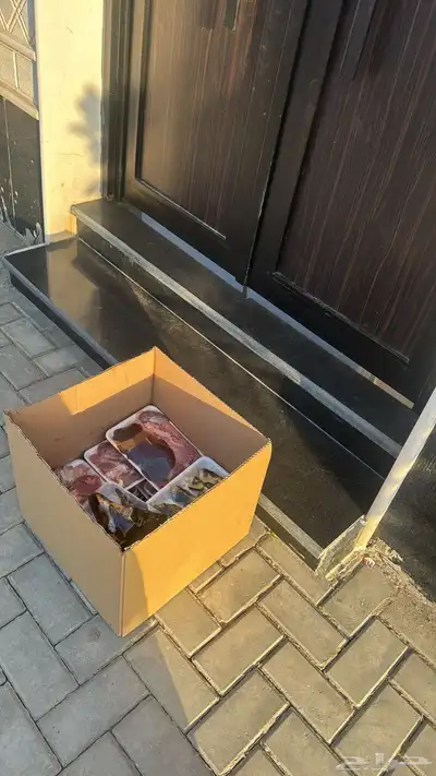 ذبايح يوجد بالنص الي يبي حياه والذبح عند الطلب index