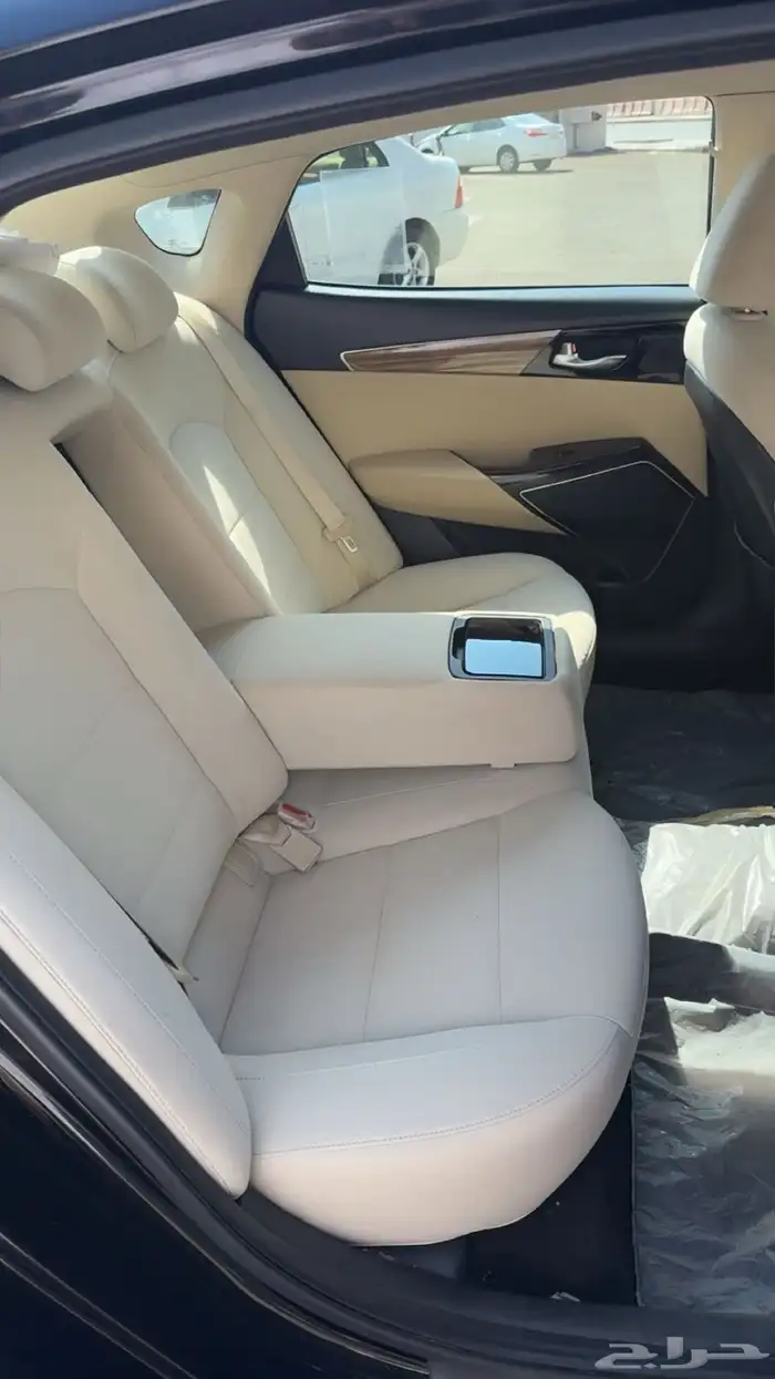 كادينزا 2018 7