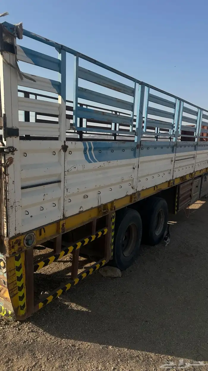 تيدر لعاب طول 13.60 7