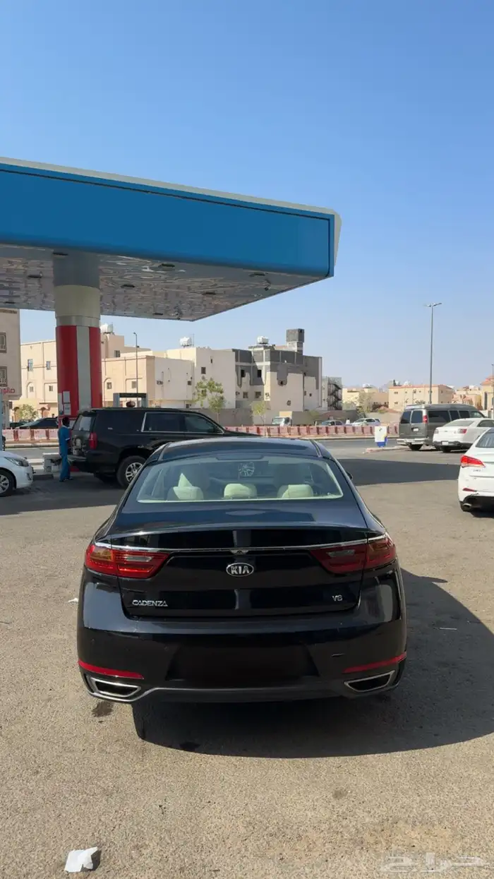 كادينزا 2018 1