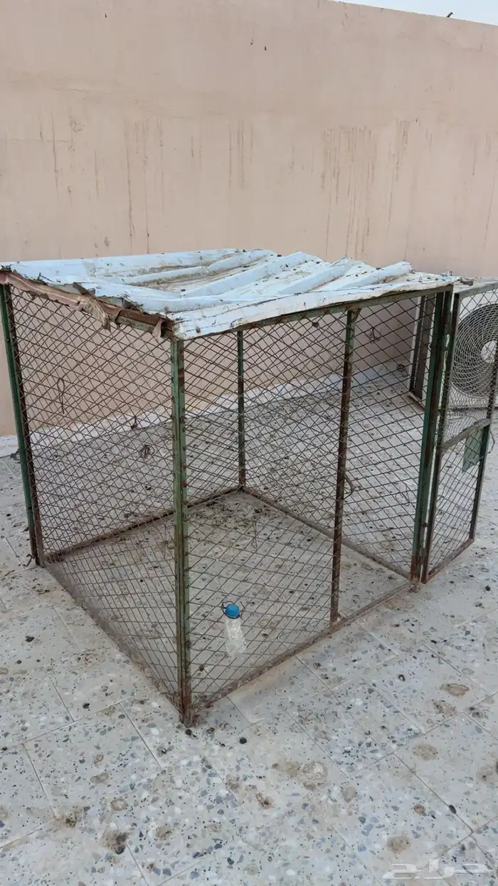 عشه تصلح ل الدجاج و الحمام 0