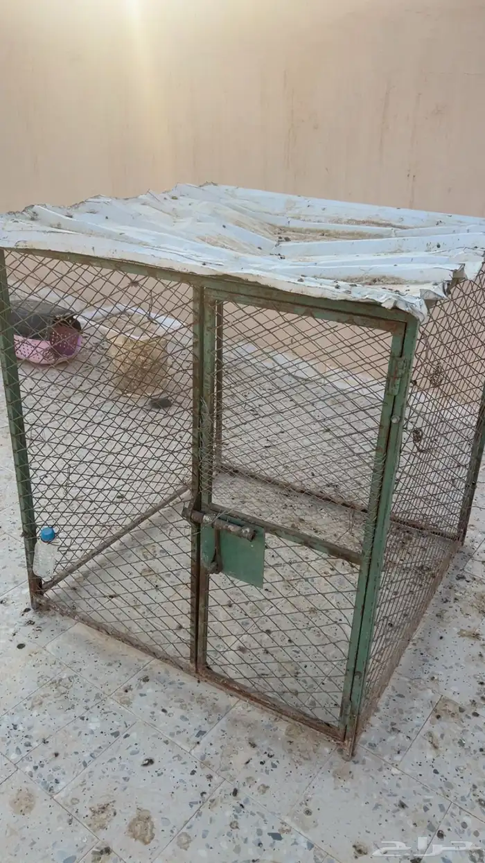 عشه تصلح ل الدجاج و الحمام 1