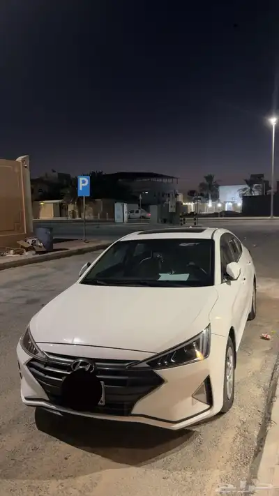 النتر 2019 ألفين سيسي وكال 0