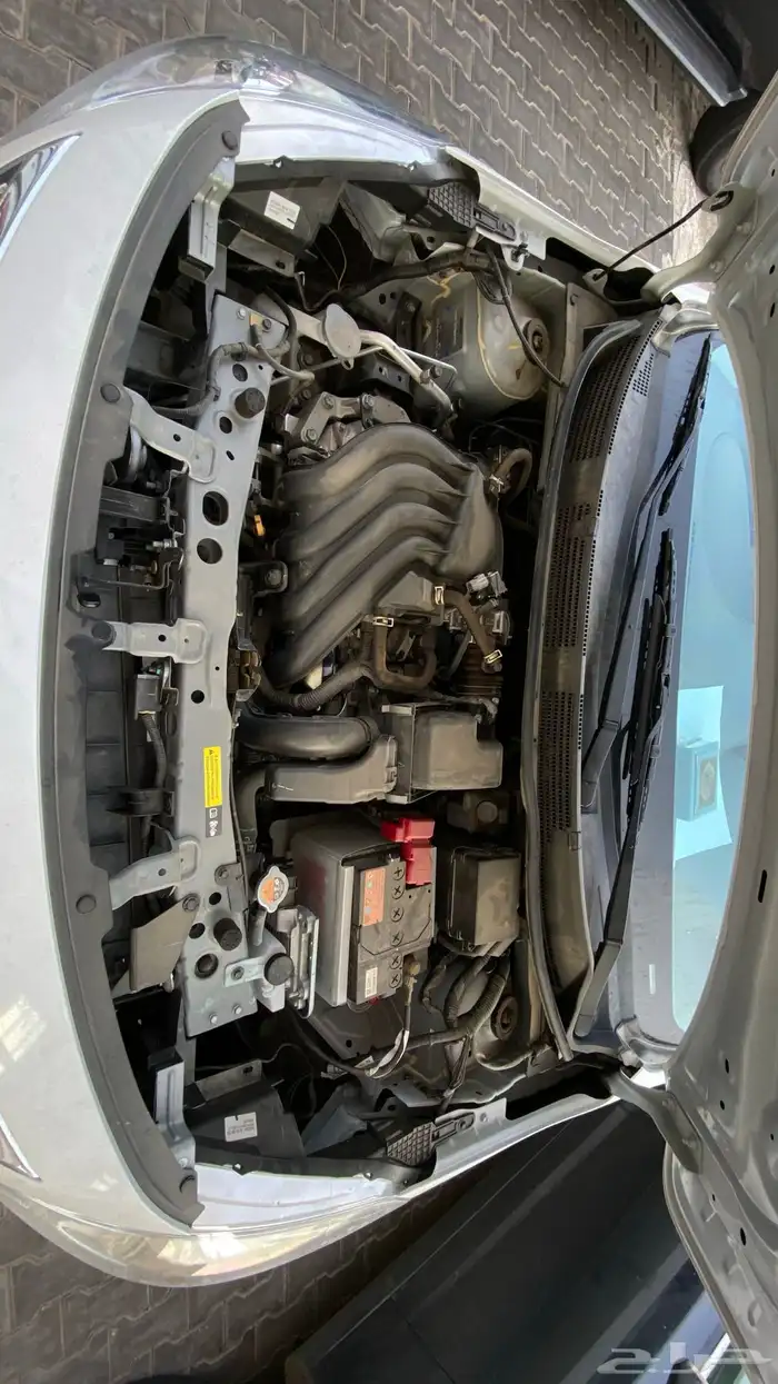 للتنازل صني 2024 5