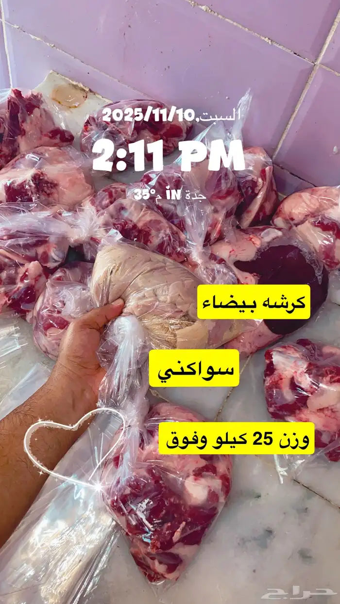 سواكني تربيه شحم شامل ذبح وتوصيل 0