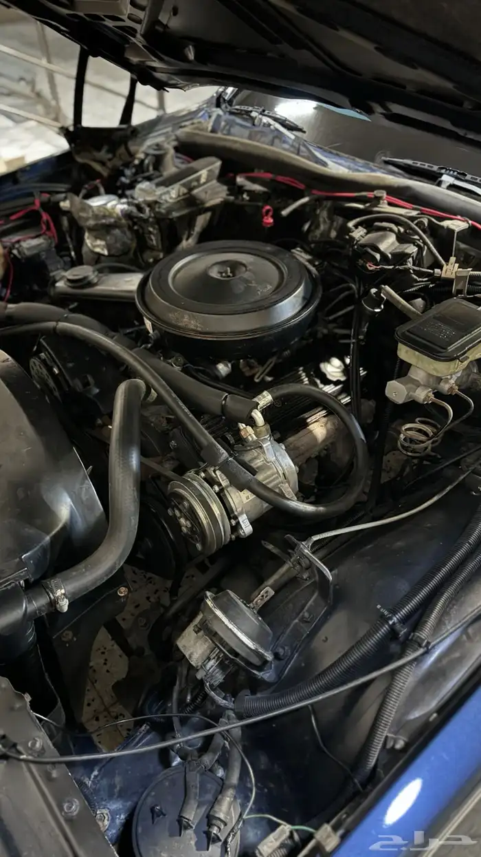 شفر كابرس 1988 19