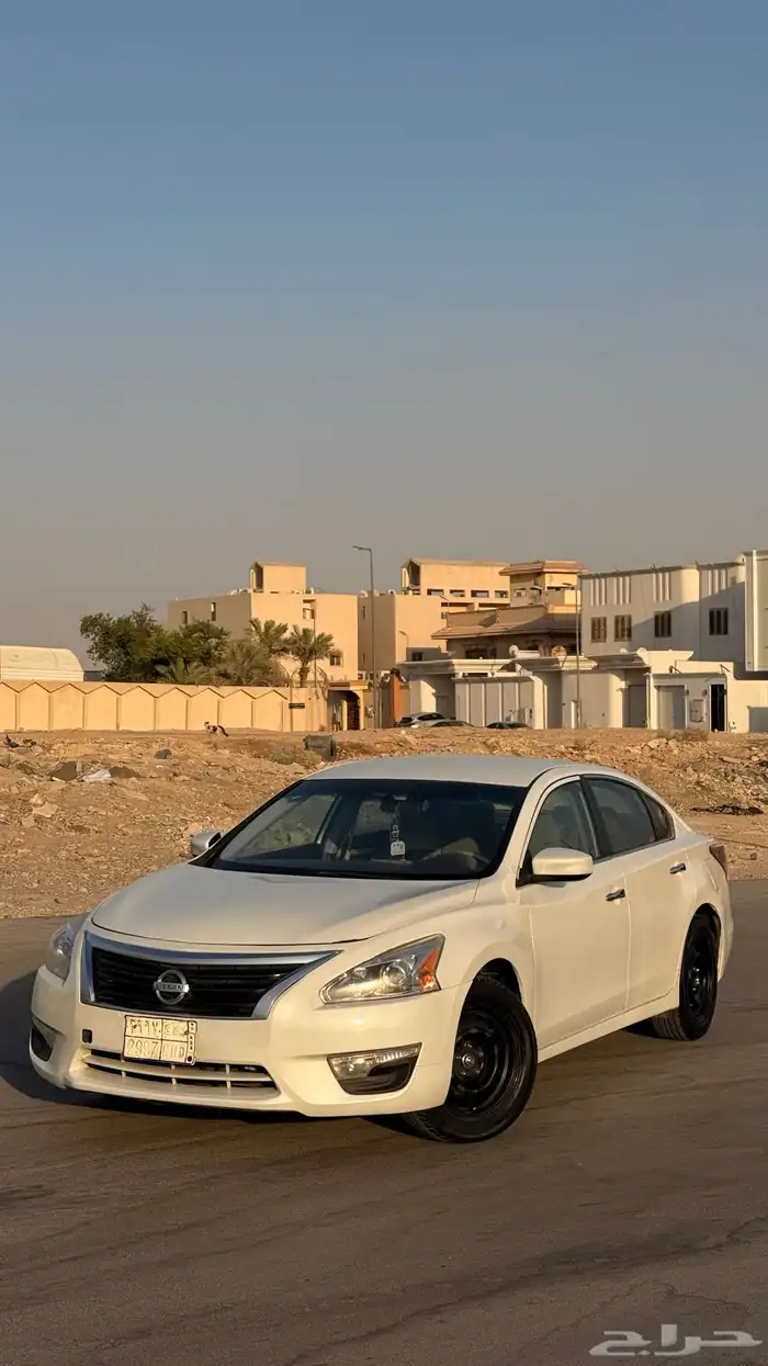 التيما 2016 16