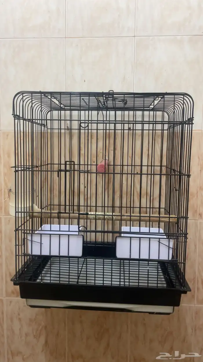قفص طيور 0