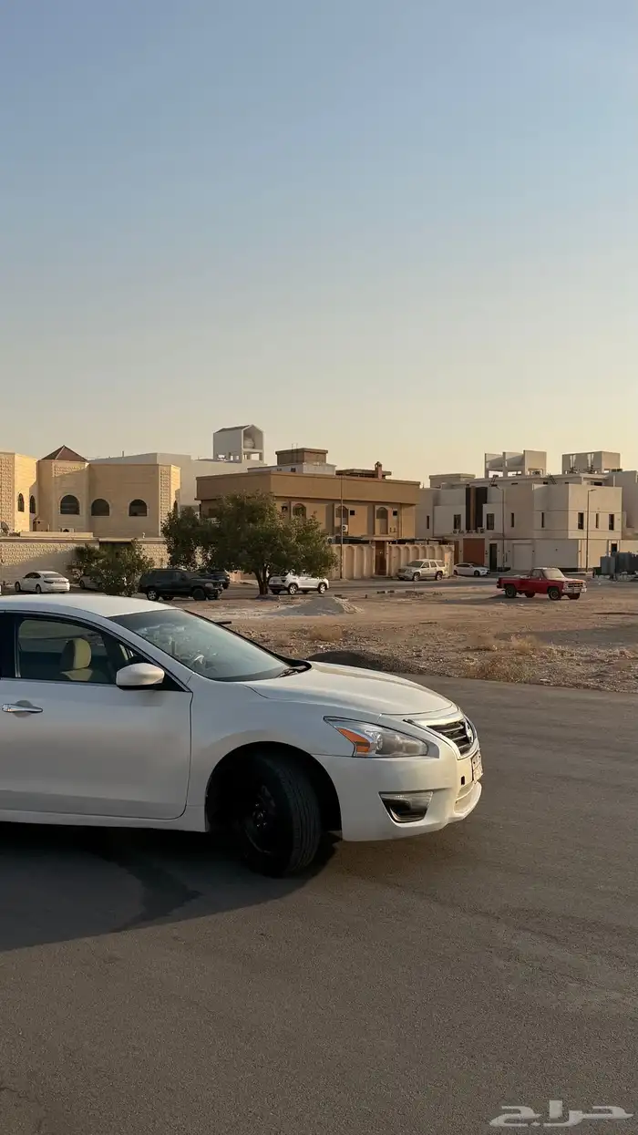 التيما 2016 10