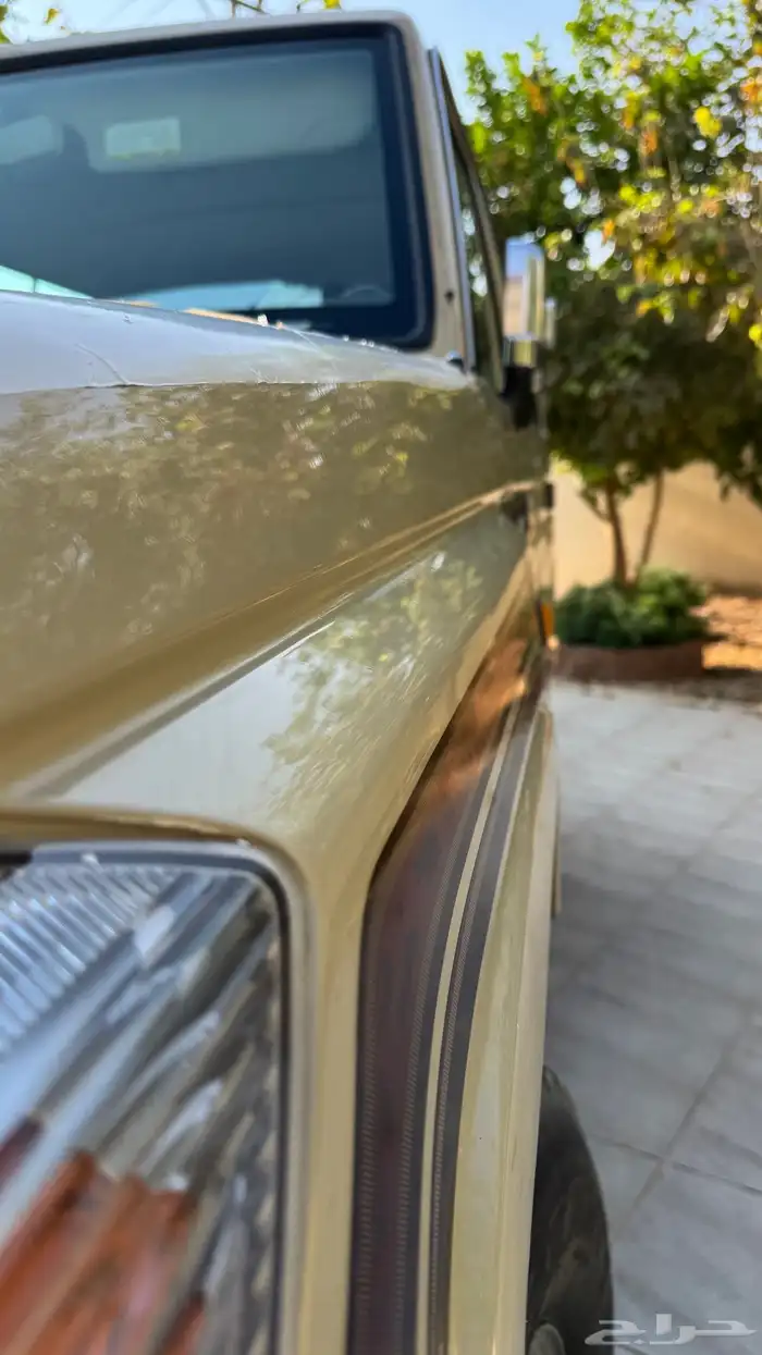 جيب ربع 2016 بازعي 6