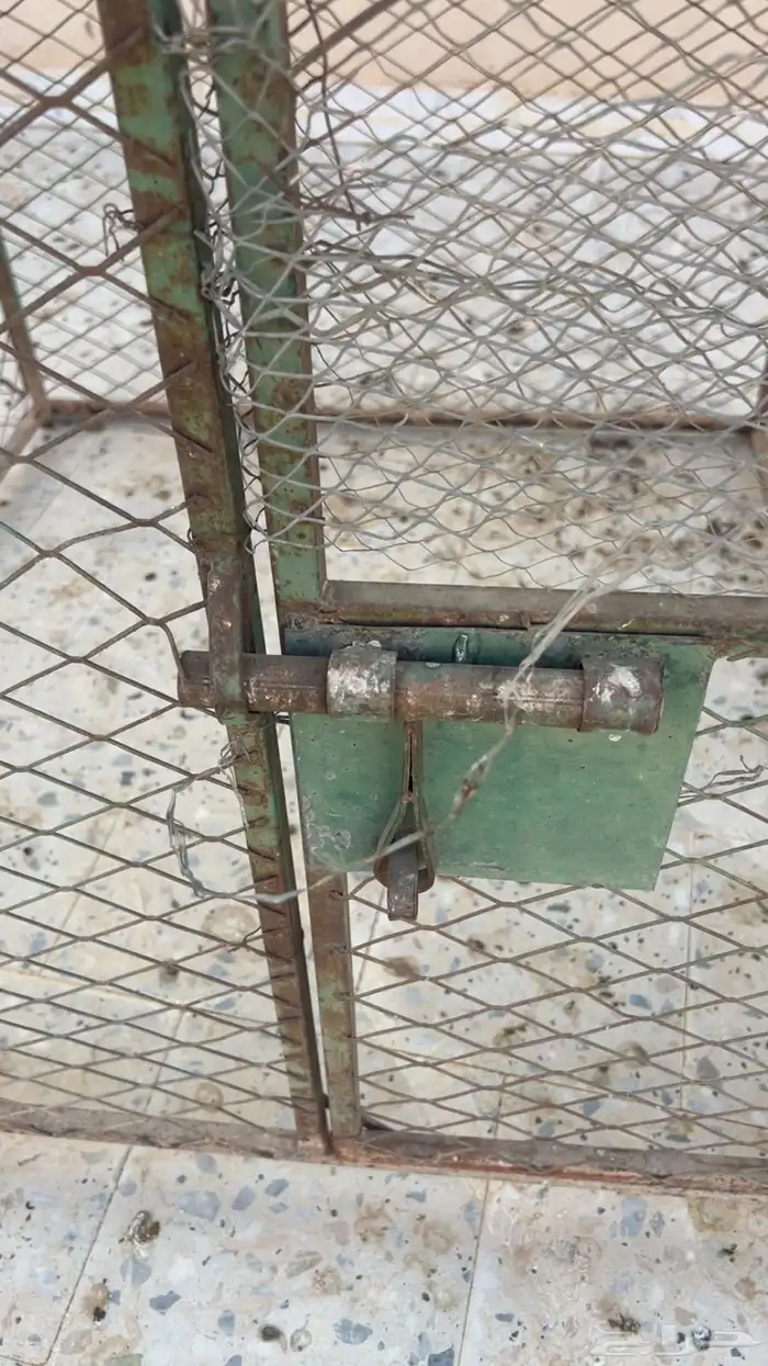 عشه تصلح ل الدجاج و الحمام 2