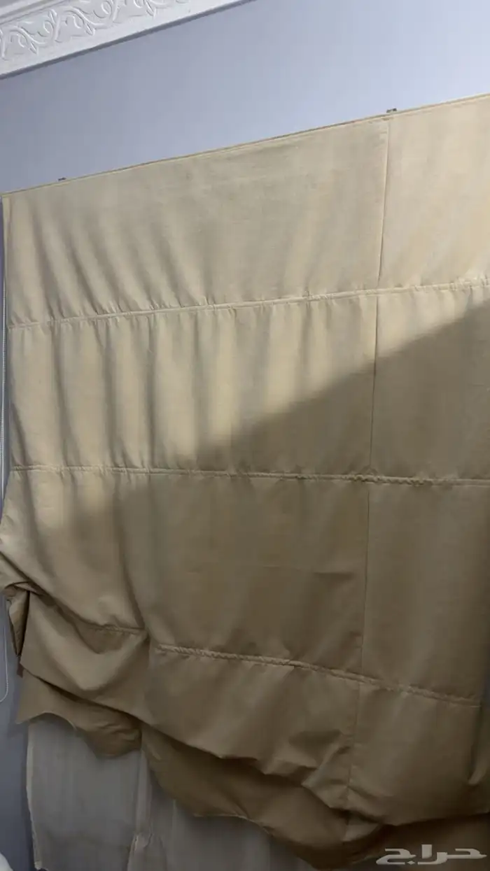 ستاره العدد حبتين للبيع 1