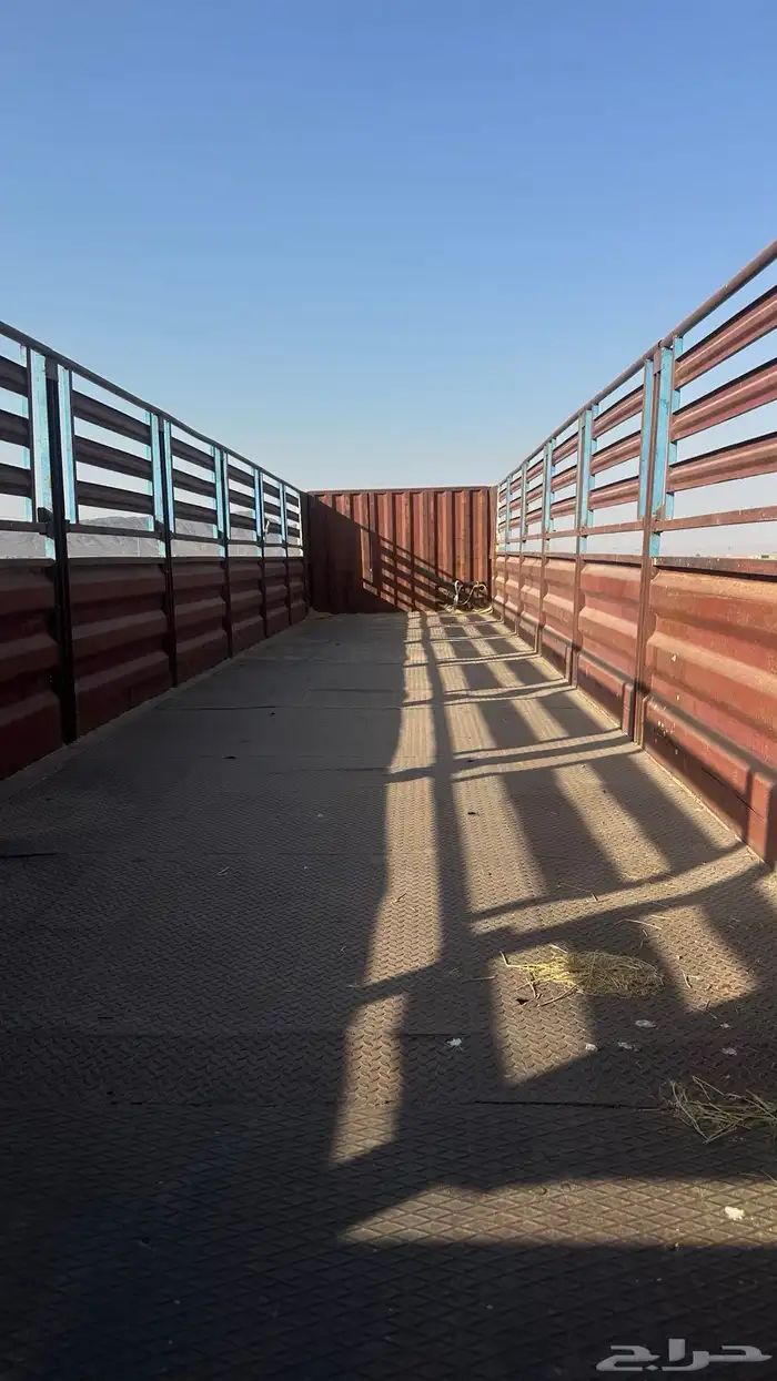 تيدر لعاب طول 13.60 6