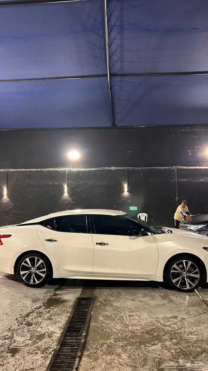 نسيان مكسيما 2017 3