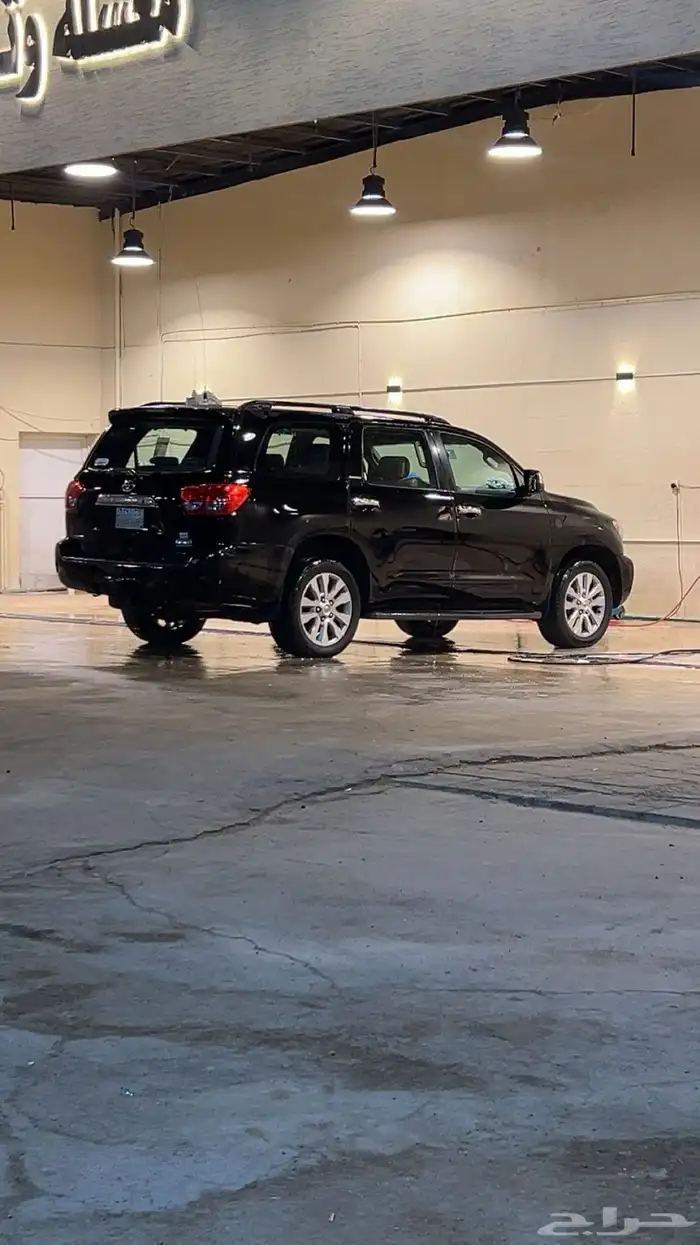 سلام عليكم سيكاويا البيع 12