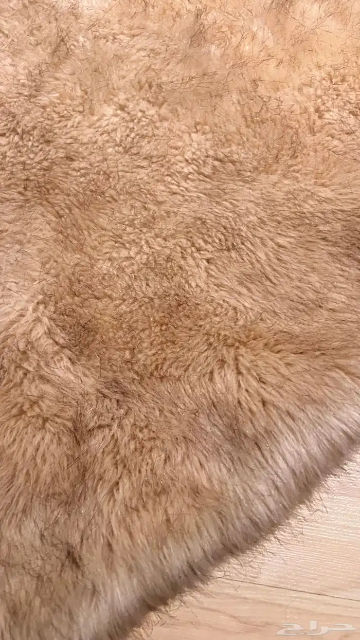 سجادة بيج فرو صناعي 1