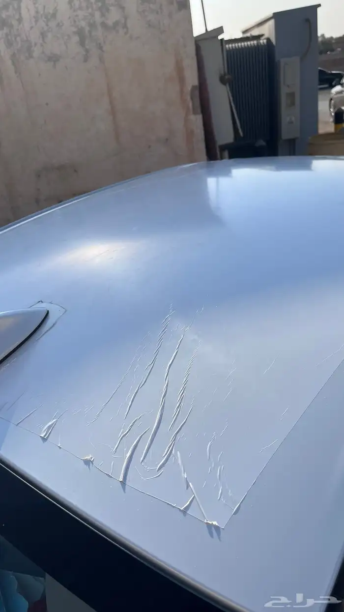 تجاليد يارس للبيع 5