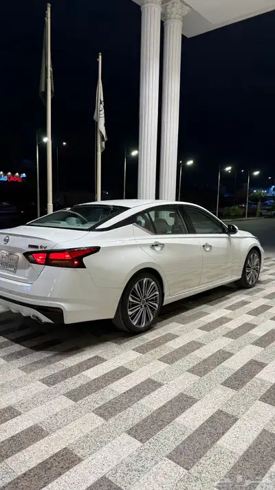 التيما 2023 index