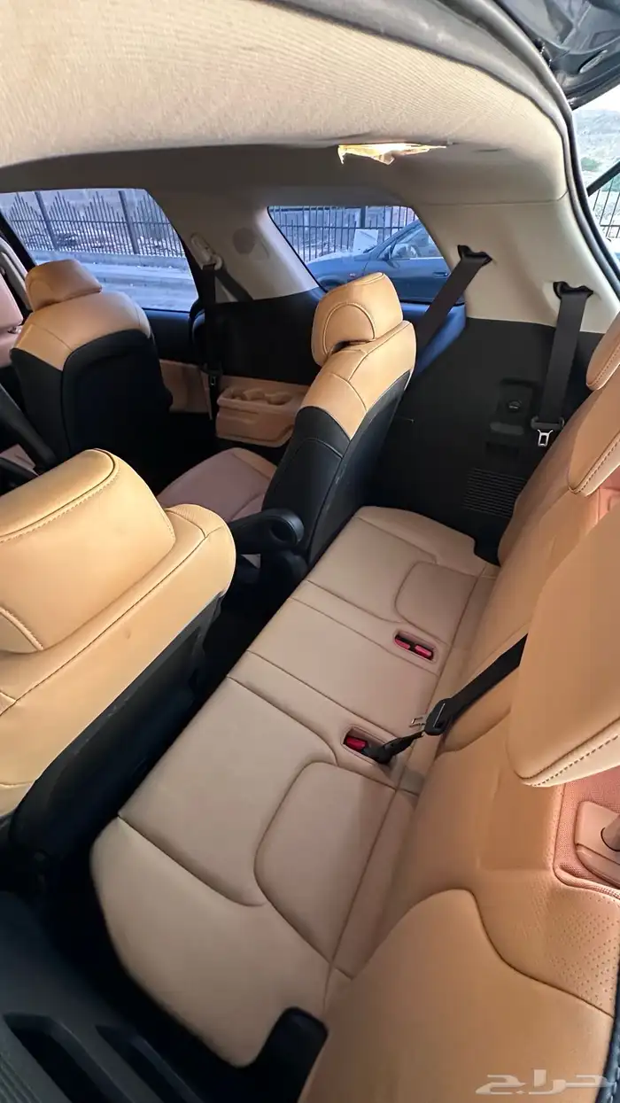 كرنفال ديزل 2021 20