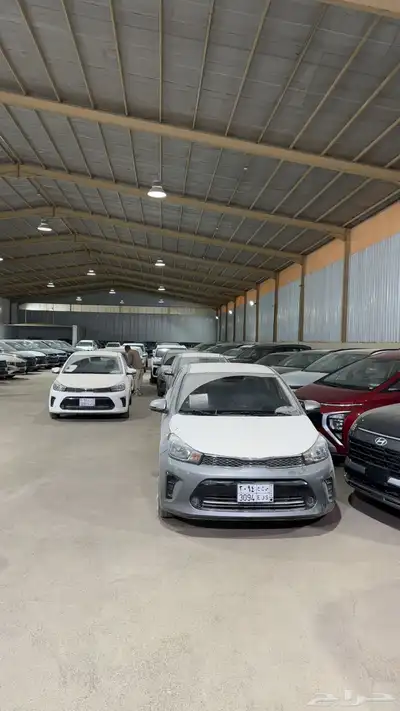 تاجير سيارات بيجاس 0