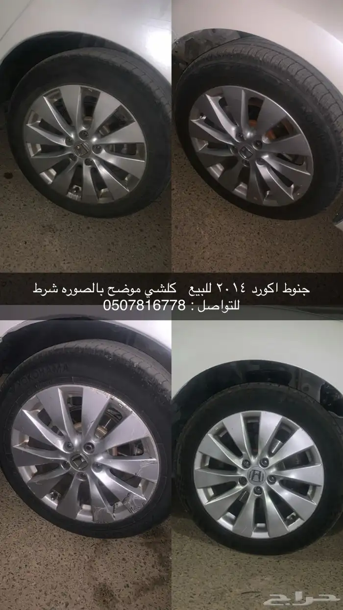 جنوط اكورد 2014 0