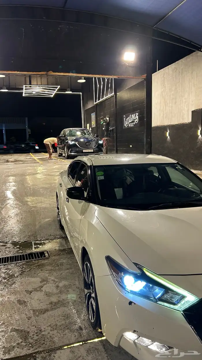 نسيان مكسيما 2017 2