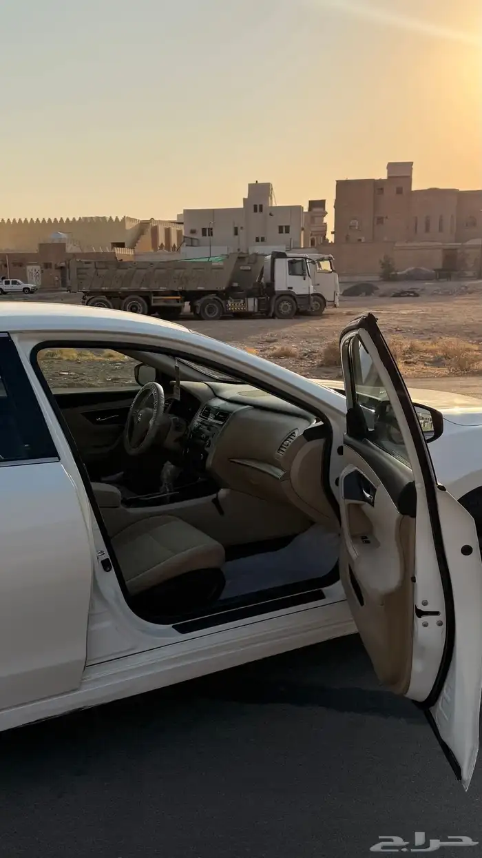 التيما 2016 11