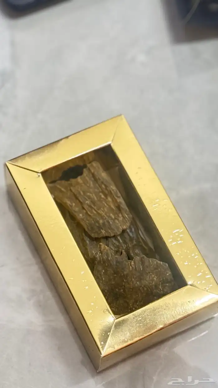 الحسن للعود   خيارك 3