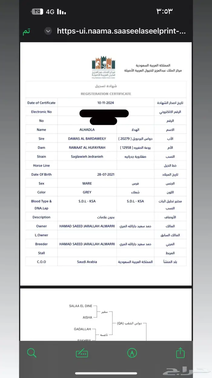 فرس السوم في العام مزواده 3