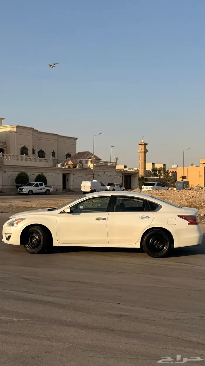 التيما 2016 17