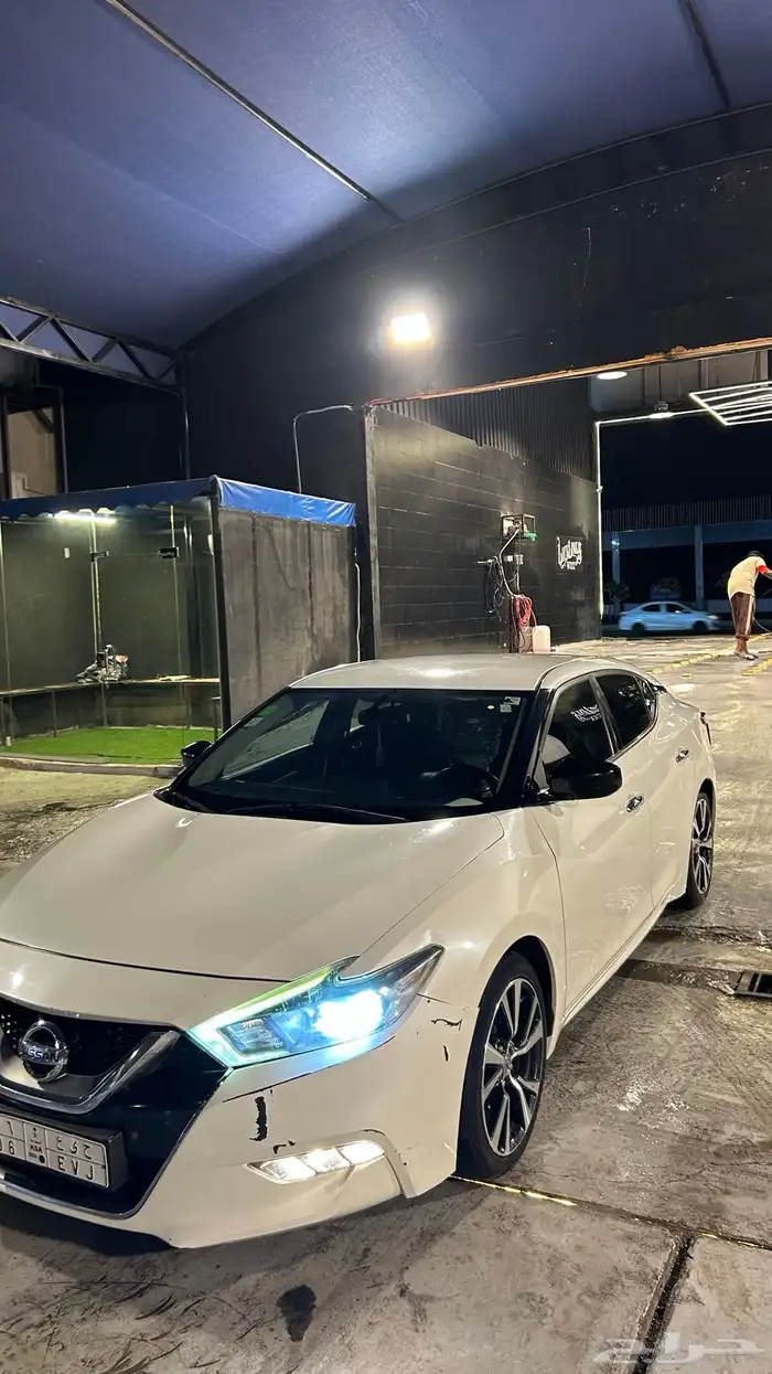 نسيان مكسيما 2017 1