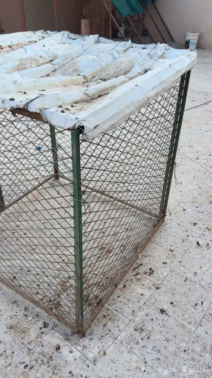 عشه تصلح ل الدجاج و الحمام 3