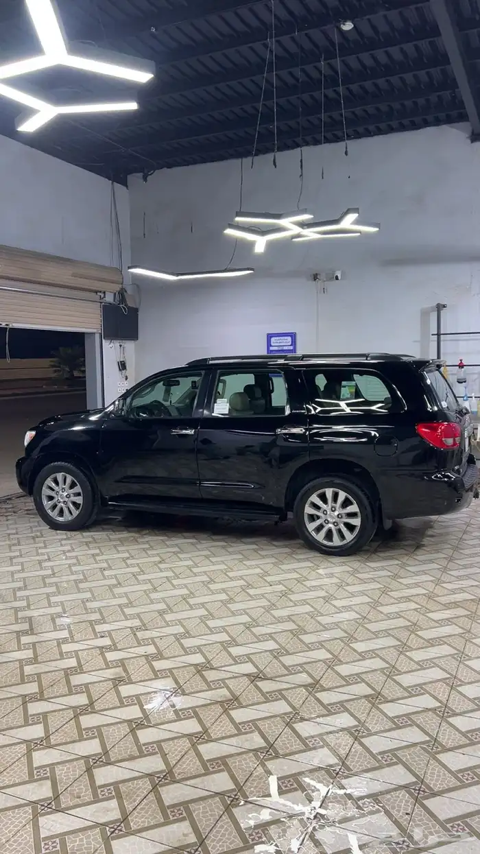 سلام عليكم سيكاويا البيع 14