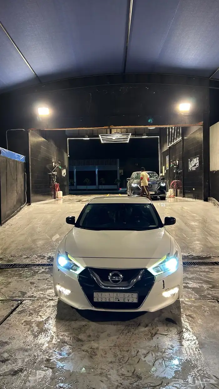 نسيان مكسيما 2017 0