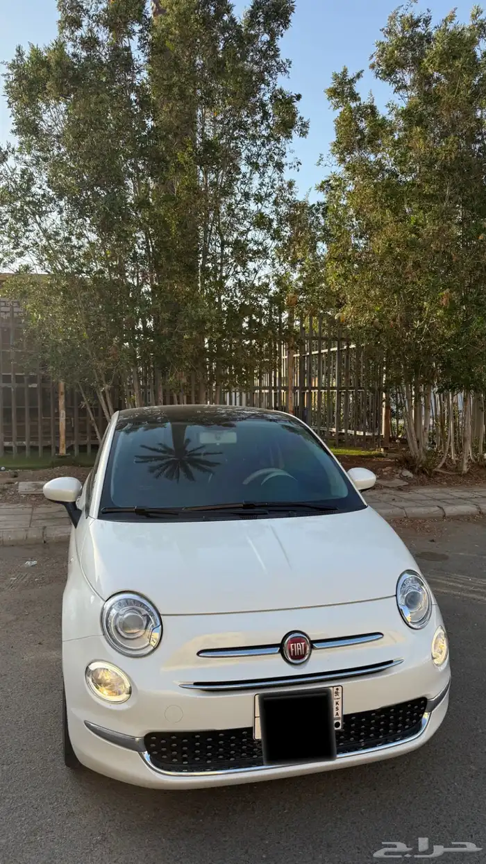 فيات 500c 3