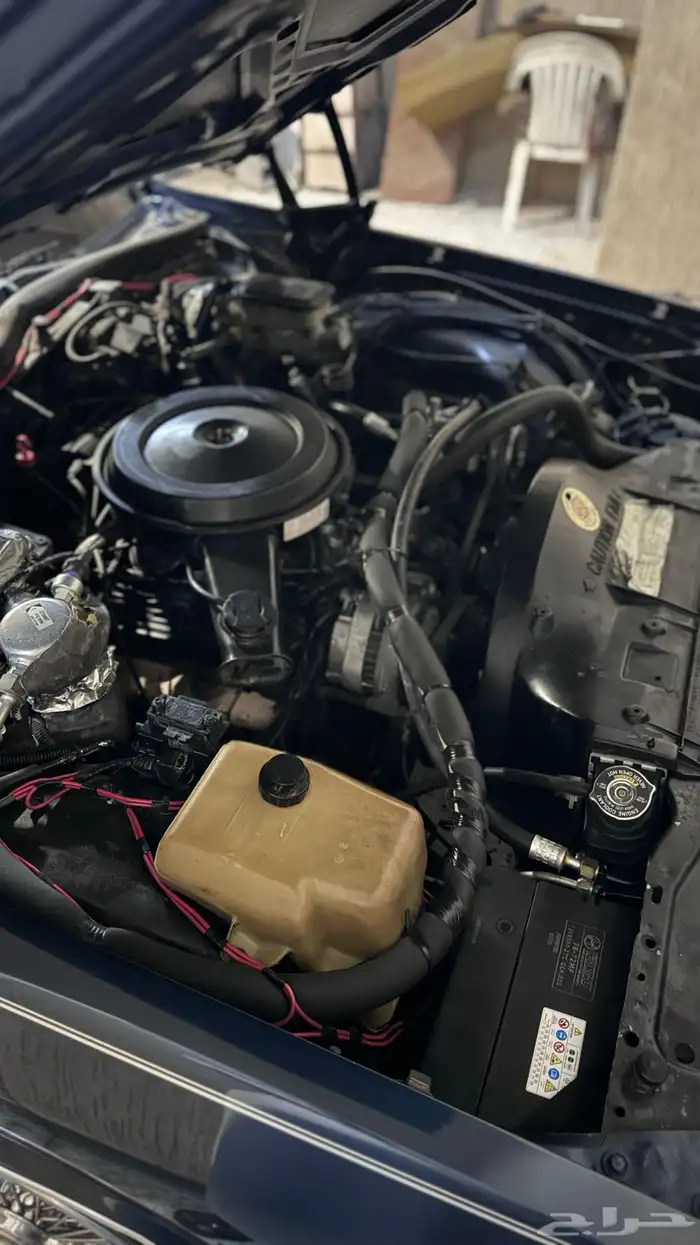 شفر كابرس 1988 20