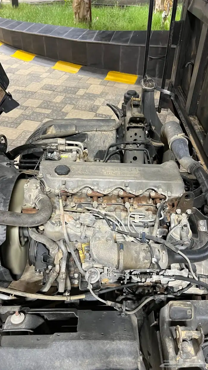 دينه ايسوزو 2015 ممشى 141 9