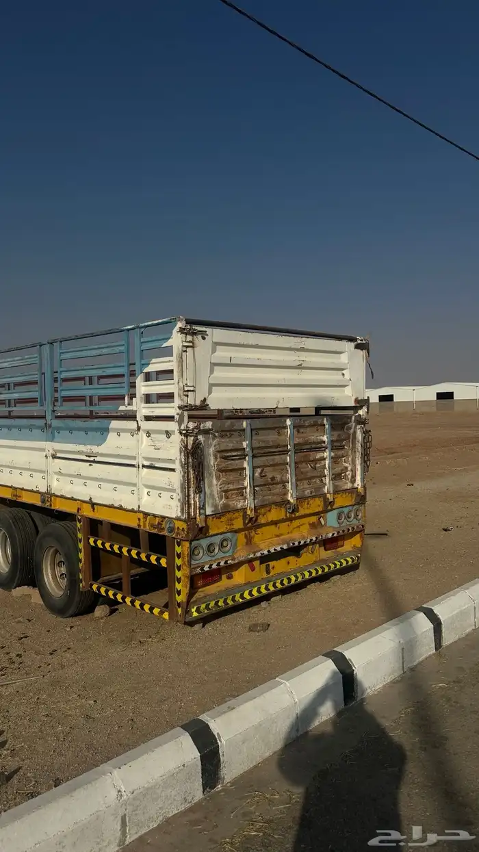 تيدر لعاب طول 13.60 5