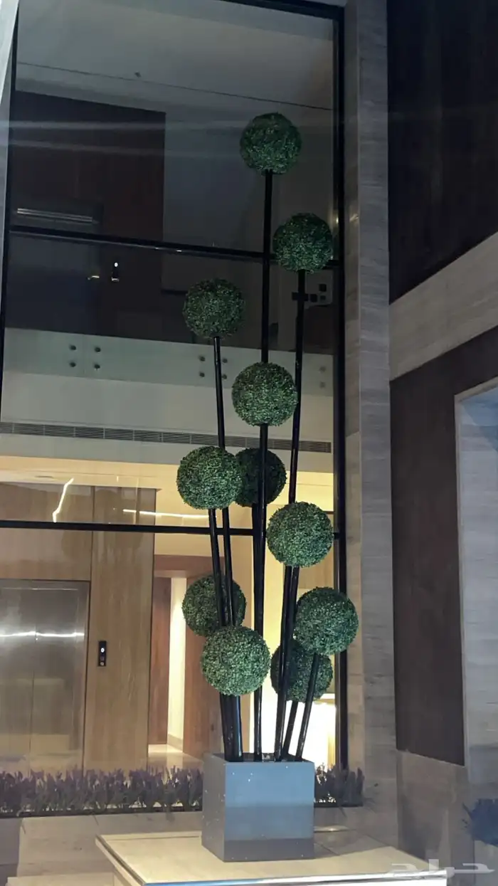 تنسيق شجر أي مناطق 1