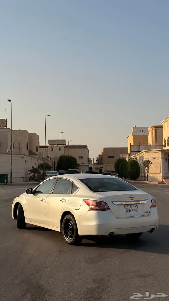 التيما 2016 12