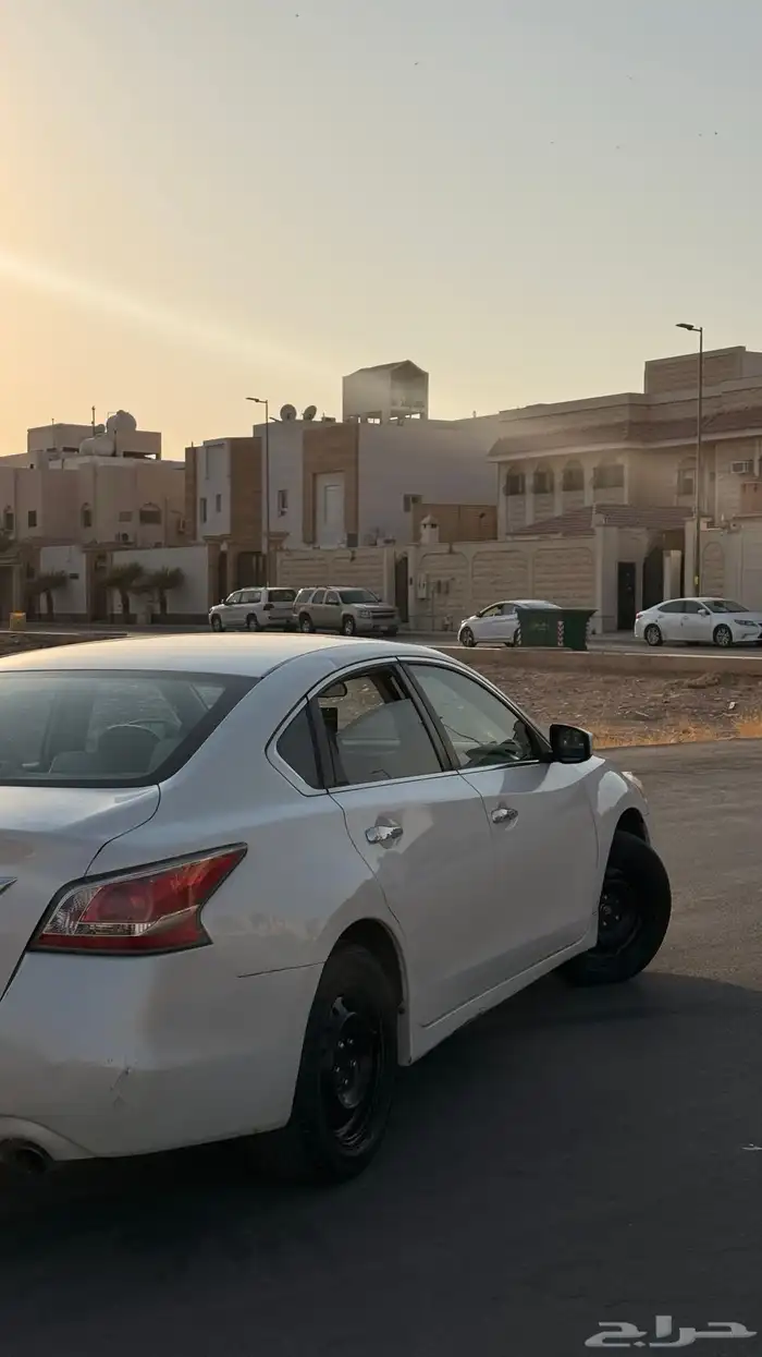 التيما 2016 14