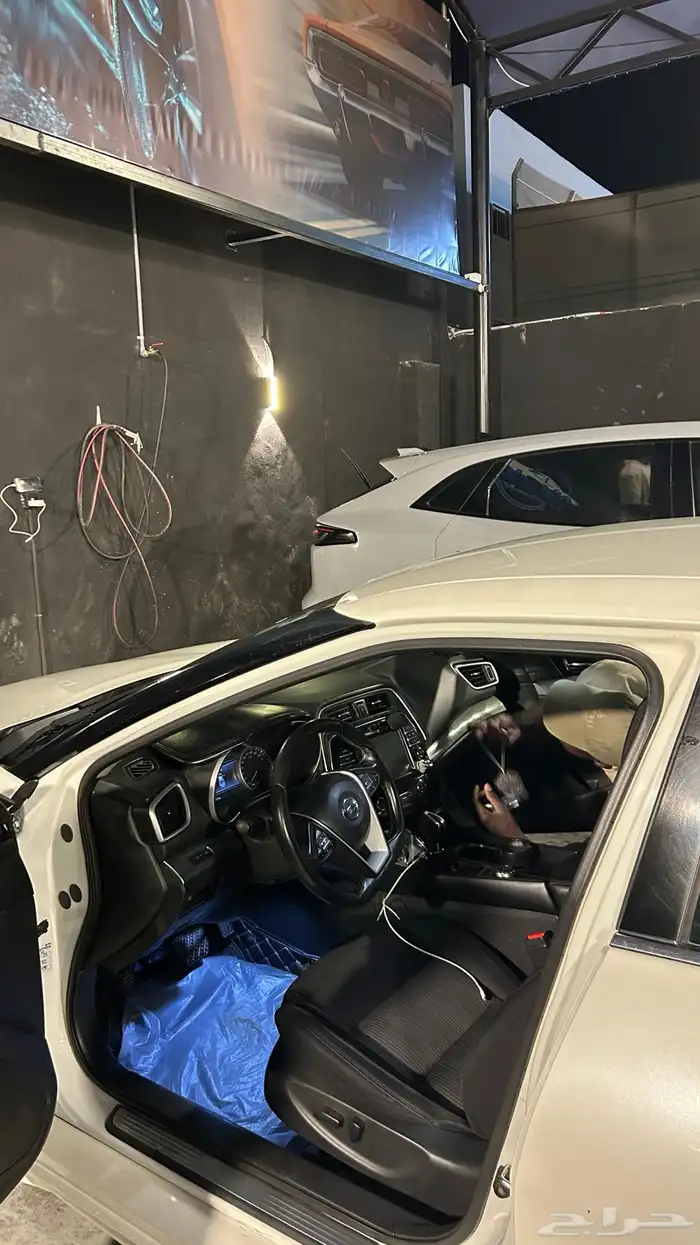 نسيان مكسيما 2017 6