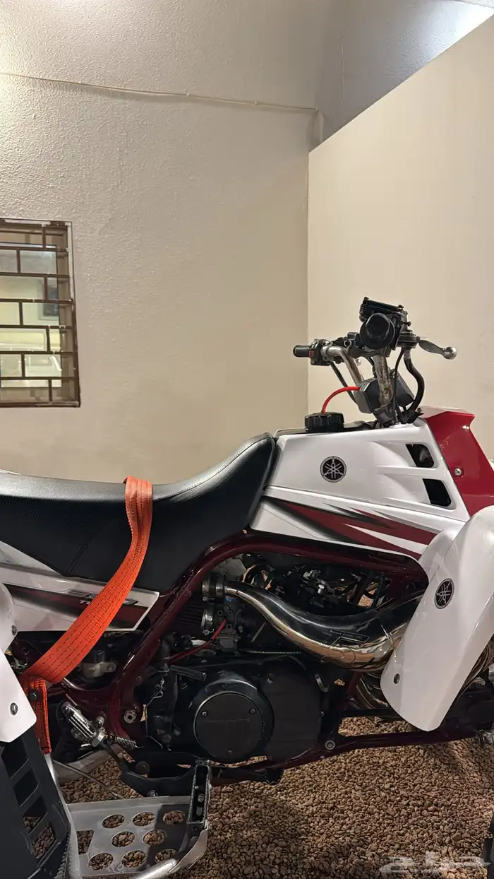 دباب بانشي 5