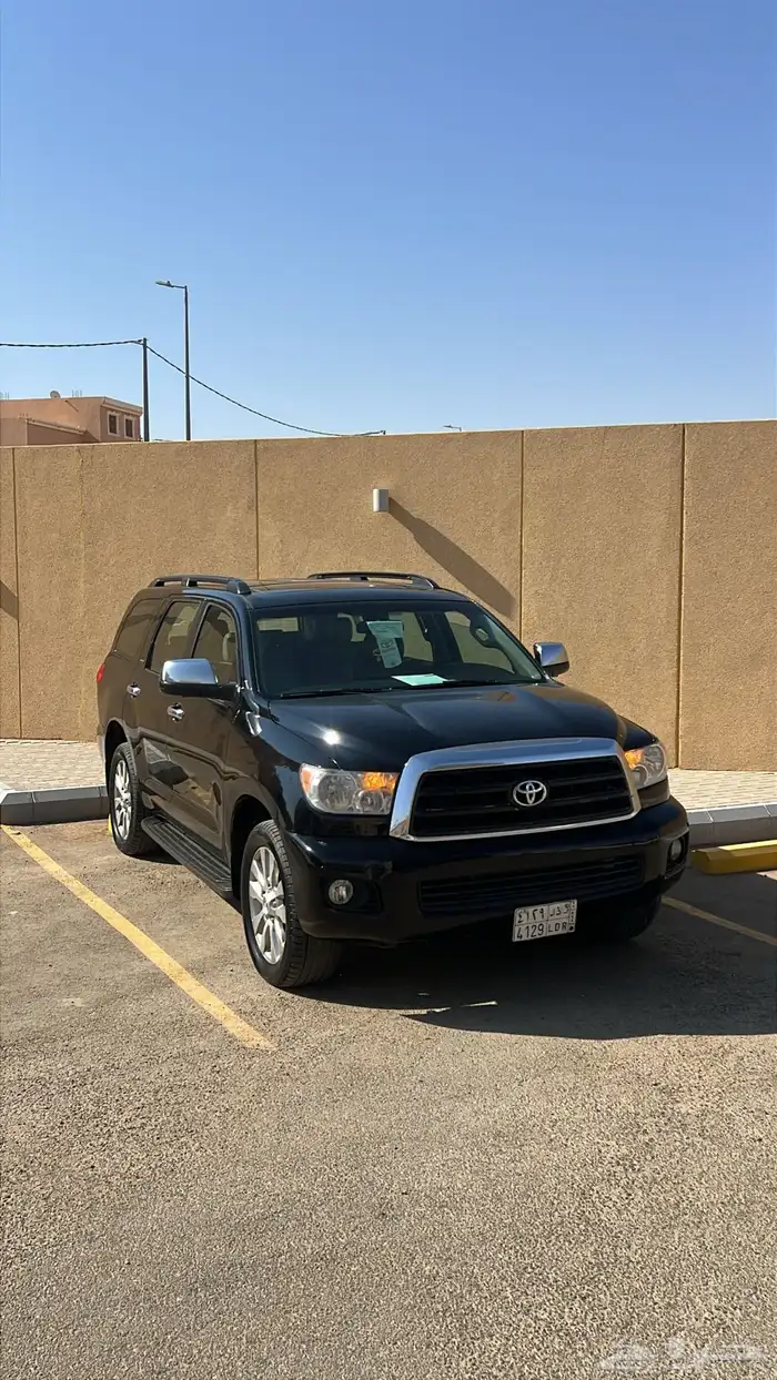 سلام عليكم سيكاويا البيع 11